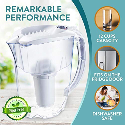 Nakii Everyday Water Filter Pitcher, Powerful Ion and Aquelen Filtration System, Long Lasting