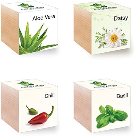 Pre-Seeded Organic Wood Planters for Indoor Gardeners Choose Aloe Vera Basil Chili Or Daisy (Aloe Vera)