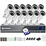 DEFEWAY TURE 1080P Video Security System,16 Channel DVR with 12pcs 2.0 Megapixel Waterproof Outdoor Bullet Camera,2TB Hard Drive