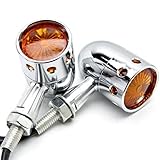 DLLL 2pcs Amber Universal Motorcycle Lens Retro LED Turn Signal Bulb Blinkers Light Indicator Side Marker For Harley Davidson Suzuki Honda Kawasaki Yamaha BMW Scooter Vesp Moped Metric (Chrome)