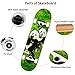 Landwalker Pro Cruiser Complete Girl Skateboard 31x8 Inch Skateboards Cheap Skateboard (Panda)