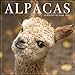 Alpacas 2020 Wall Calendar