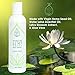 The Wonder Seed Hemp Body Wash, Water Lotus, 8 oz.
