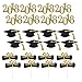 BESTONZON 48pcs Graduation Cupcake Toppers 2018 Graduation Party Decorations Cake Topper Picks Toothpick Toppers