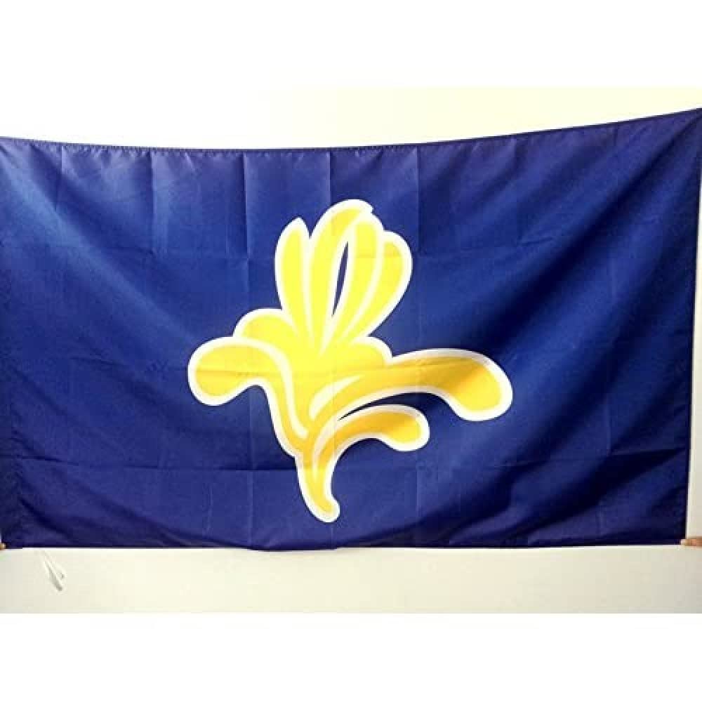 AZ FLAG - Brussels-Capital Region Flag - 2x3 Ft - Bruxelles-Capitale Banner with Sleeve - 100% Polyester - Fade Resistant - Vivid Colors - 2' x 3' Feet - 90x60 Cm