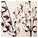 Darget Cotton Stems - 29