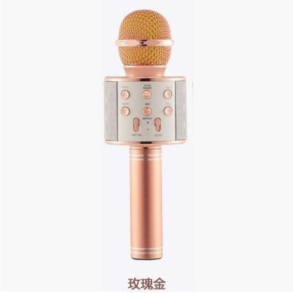 Handheld Microphone Bluetooth Wireless Microphone Voice Changer Sound
