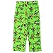 TMNT Ninja Turtles Boys Green Poly Pajama Pants (Little Kid/Big Kid)