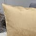 Home Brilliant Gold Velvet Pillow Covers 18x18 Holiday Throw Pillow Cover Decorative Pillow Cases for Bedroom Living Room Decorations, 45cm (18 x 18 inch), Gold