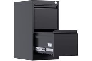 Reemoon Metal File Cabinet with Lock, Drawers Vertical Filing Stoage Cabinets for Home Office, Small and Narrow Filing Cabinet for Hanging Letter/Legal/A4 Folders (Black, 2 Drawers)