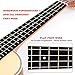 Solid Spruce Ukulele 23 Inch Ukele Concert Uke Mahogany Ukelele Hawaii Guitar