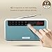 Rolton E500 Portable Stereo Bluetooth Speakers FM Radio Clear Bass Dual Track Speaker TF Card USB Music Player (Blue)
