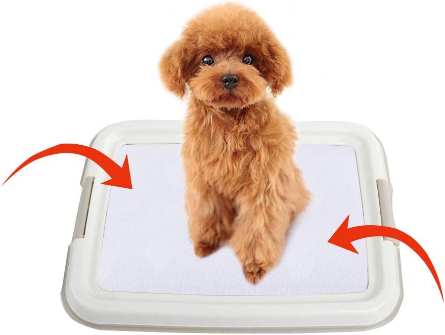 My Dog Ate Absorbent Pad Meat Tray at Samantha Burks blog