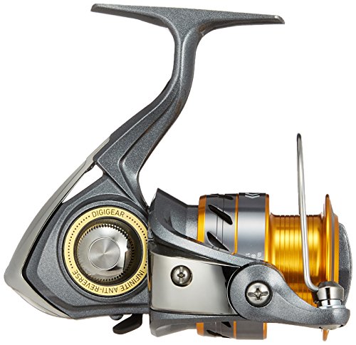best size hook for saltwater fishing What Hook Size for Reds & Snook?