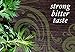 Buddha Teas Organic Wormwood Tea - OU Kosher, USDA Organic, 18 Bleach-Free Bags