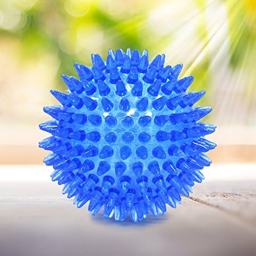 Safe Pet Toy Squeaker Ball - Dogs Chewing and Cleaning Toy For Large Medium Dog By AMOMI PET, 1 Pack, Colors Will Vary