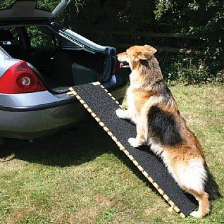 best dog ramp for 4x4