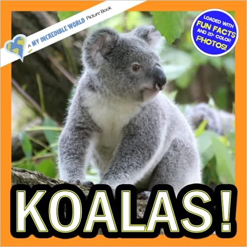 Animal Picture Books for Children 