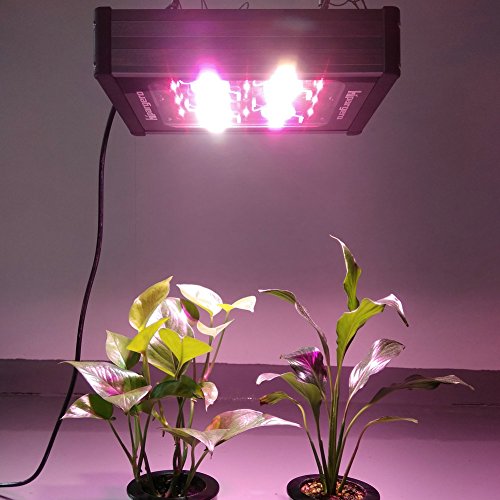 LED Grow Light 450W COB LED Grow Lights for Indoor Plants Veg and