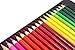 Multi Colored Premium Pencils - 48 Pre-Sharpened Pencils, Great Art School Supplies For Kids & Adults Professional Pencils - Bright Assorted Eco Colored Pencils By Diamond Driven