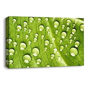 Canvas Wall Art Leaf Veins Pictures Home Wall Decorations for Bedroom Living Room Paintings Canvas Prints Framed - 12x18 inches