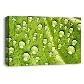 Leaf Veins Pictures Home Wall for Bedroom Living...