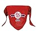 Hunter MFG St. Louis Cardinals Mesh Dog Bandana, Large