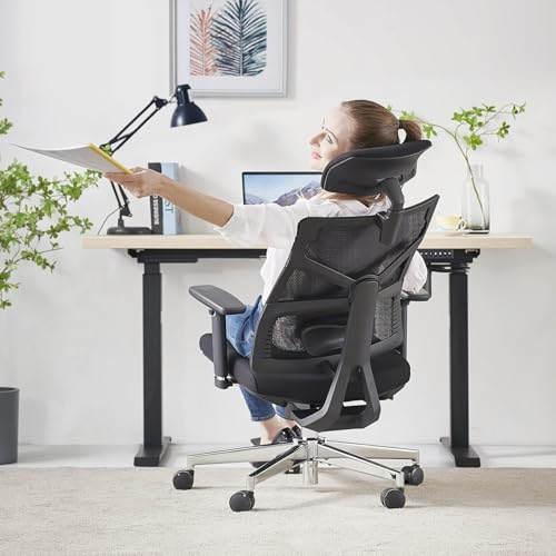 HOLLUDLE Ergonomic Office Chair with Adjustable Backrest, Depth Adjustable Seat, 4D Armrests, Lumbar Support and 2D Headrest, 360° Swivel, Modern Design, Black