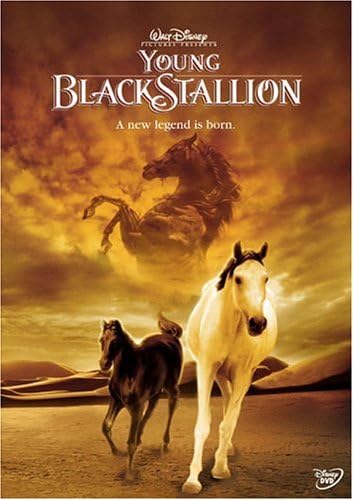 Amazon.com: Black Stallion, The (DVD) : Kelly Reno, Mickey Rooney