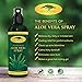 Aloe Vera Plant Juice Spray - Pure Raw Plant Gel, Soothing Moisturizer Relief for Sunburn, Eczema, Razor Bump, Acne & Dry, Damaged Aging Skin - Add To Lotion, Shampoo & Cream (16 oz)