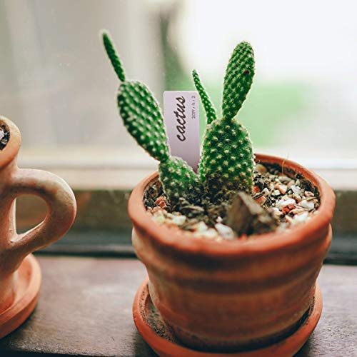 eZAKKA 100Pcs Plant Labels Plastic Plant Markers Plant Tags Nursery Garden Stakes Pot Marker (4 Inches) - Thumbnail 4