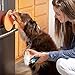 Hyper Pet LickiMat Splash Bowl. Dog Grooming Distraction, Dog Anxiety Relief, Cat Anxiety Relief, Boredom Buster (Great Alternative to a Slow Feeder Dog Bowl & Snuffle Mat)[Sticks to Non-Porous Walls]