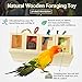 Hamiledyi Bird Foraging Toy Wooden Parrot Training Feeder Toys Creative Colors Identify Food Box Intelligence Toys for Medium and Large Parrots Sun Conures, Caique, Cockatoothumb 1