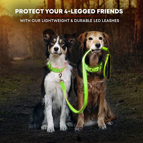ILLUMISEEN LED Light Up Dog Leash Ultra High Visibility Up to 350
