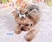 CellElection 40Pcs/20Pairs Dog Hair Bows with Rubber Bands Classic Dog Bows for Small Dogs Pet Gromming Products Dog Hair Accessories