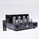 Willsenton R8 KT88/EL34 x4 Tube Amplifier