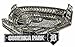 Detroit Tigers Comerica Park Pin