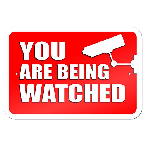 You Are Being Watched Video Surveillance 9″ x 6″ Metal Sign