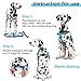 PETBABA No Pull Dog Harness, Front Clip Give Pet Choke Free Walking, Reflective Safety at Night, Step-in Vest with Martingale Handle Suitable Controlling in Heavy Traffic in Blue