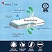 Bedical Care Pillow Encasement / Protector: Hypoallergenic Cotton Terry with Waterproof Coating & Secure Zipper | Protects Against Bedbugs, Dust Mites, & Allergens| 2-Pack, Standard/Queen
