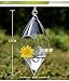 Siyaglass Pack of 2 Hanging Terrarium Glass Vase Flower Air Plant Pot Container Home Office Decoration Olive Shape