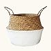 Aneil Woven Belly Storage Basket, Seagrass Planter with Handle, Plant Flower Pots, Home Kitchen Organizer (L, White)
