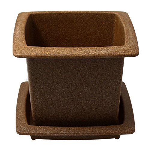 EcoFriendly Biodegradable Wood Fiber Plant Pot 5inch