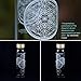 Vibe Bottle Glass Water Bottle 20 Ounce - Drink Clean Fresh Water, BPA-Free Reusable Glass for Beverages Smoothies - Scratch Proof Liquid Container with Nylon Sleeve Bamboo Lid - Durable Recyclable