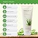 [The Face Shop] Herb Day Cleansing Foam, Aloe