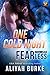 One Cold Night (ARe Fearless Book 3)