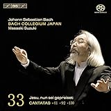 Bach: Cantatas, Vol. 33