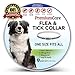 Premium Care Flea And Tick Collar For Dogs | Prevents And Removes Fleas, Ticks, Lice And Mosquitos In 24 Hours | 8 Months Protection | 100% Quality Flea And Tick Prevention For Dogs
