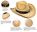 Apollo Western Structured Curved Brim PU Leather Banded Straw Cowboy Hat, Beige/Bull