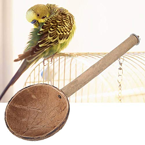 Jimfoty Bird Perch Stand, Natural Coconut Shell Bird Feeder Bowl Bird Cage Parrot Parakeet Stand Parrot Playstand Play Gym